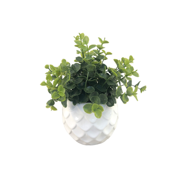 Grass Ceramic Pot 10.5x23