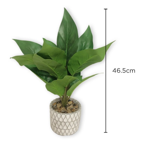 Plant In Geo Cement Pot