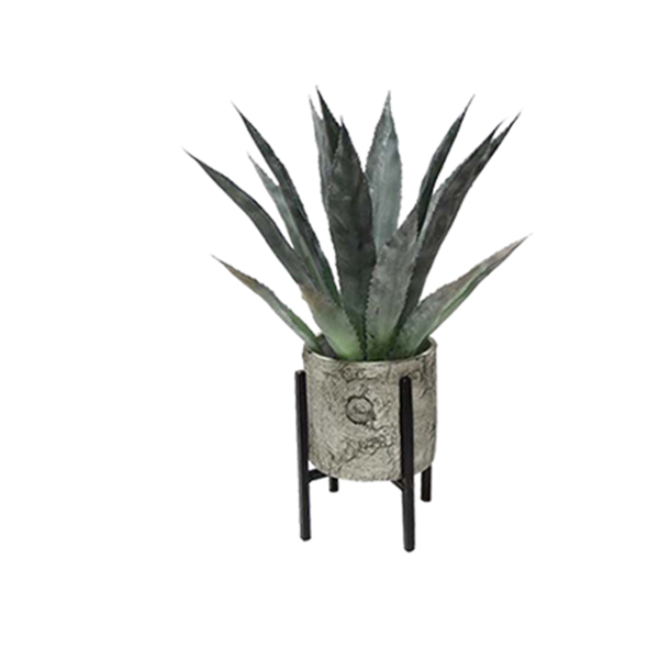 eva plant with stand
