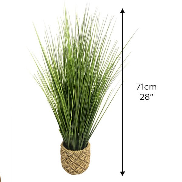 Herbe Pvc Dans Pot Céramique 11.43x11.43x71