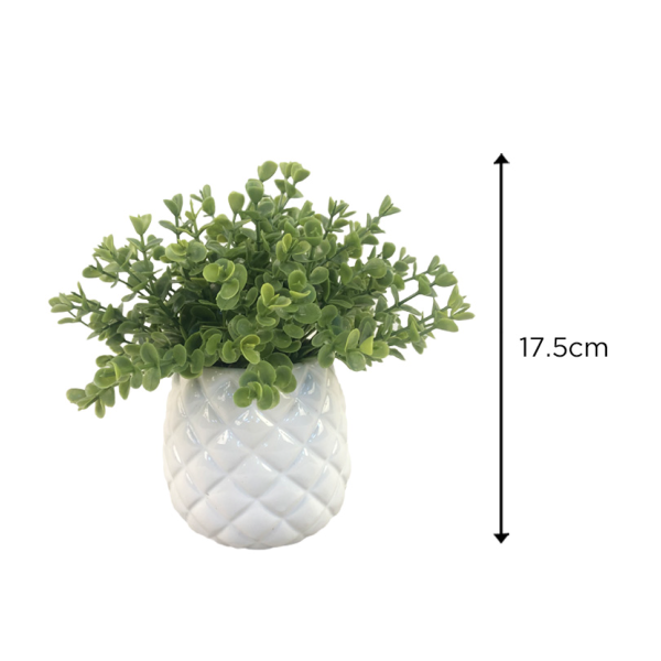 Grass Ceramic Pot 9x17.5