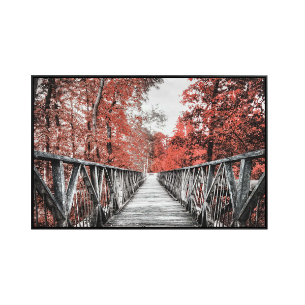 Toile Avec Cadre