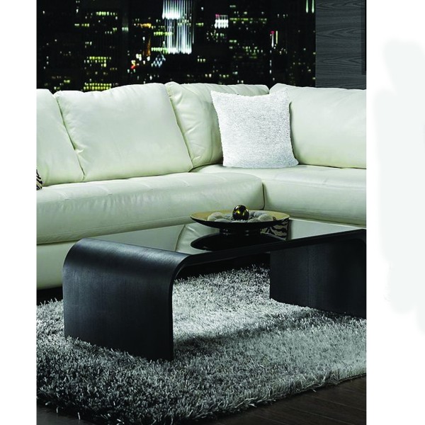 Coussin en plume d'oie blanche 20 x 20