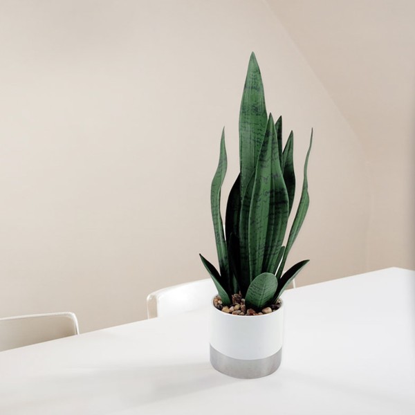 Snake Plant Ceramic Pot 12x48.5