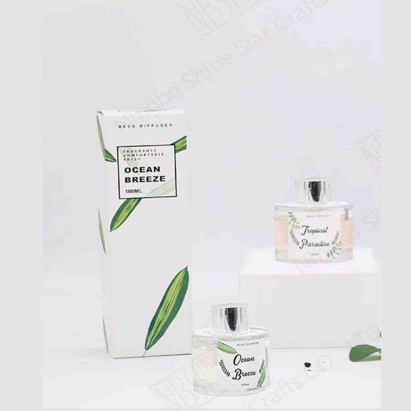 100ML DIFFUSER W/PLANT