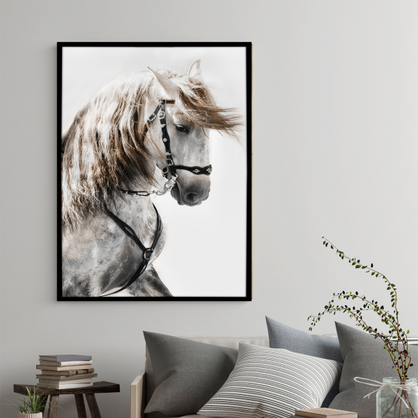 Canvas Framed 75x115 Stallion