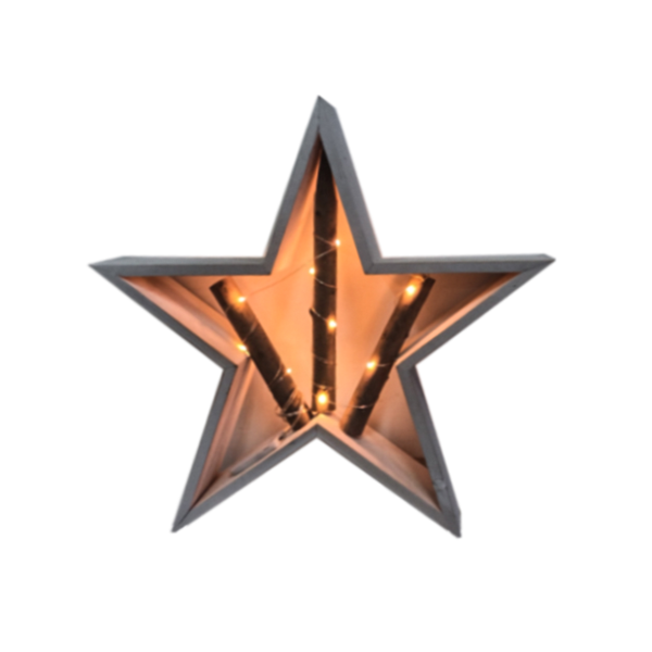Star Branch LED