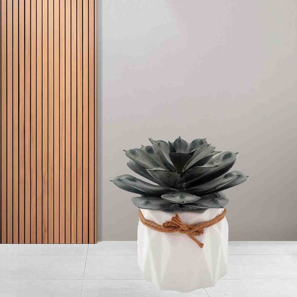 Lauren Taylor - Succulent Geo Ceramic Pot