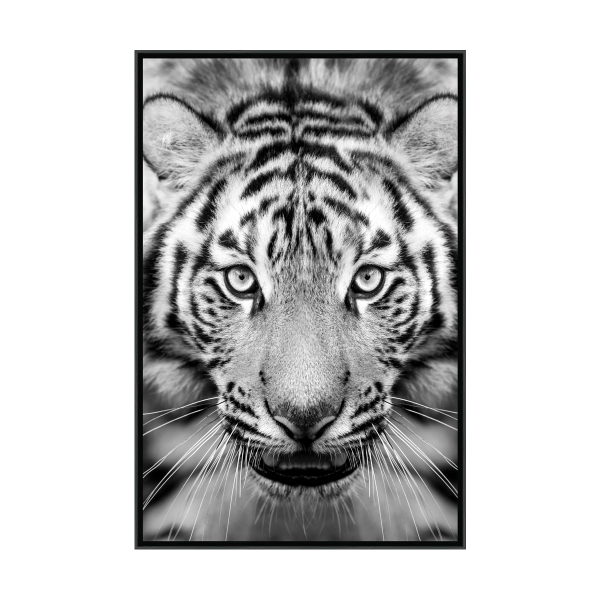 Tiger Canvas Framed 75x115