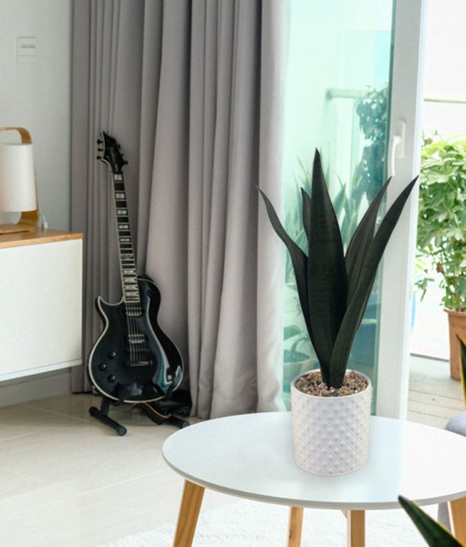 Snake Plant Ceramic Pot 11x37