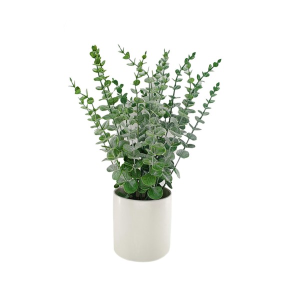 Eucalyptus Ceramic Pot White