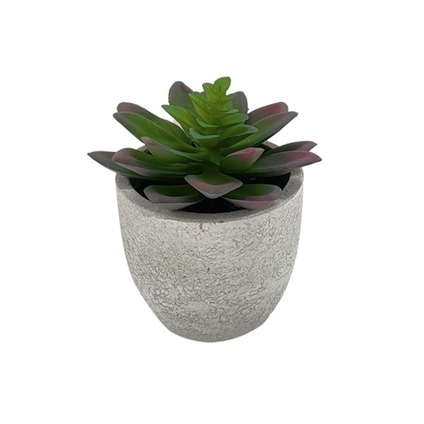 Succulent Cement Pot 10x11.5