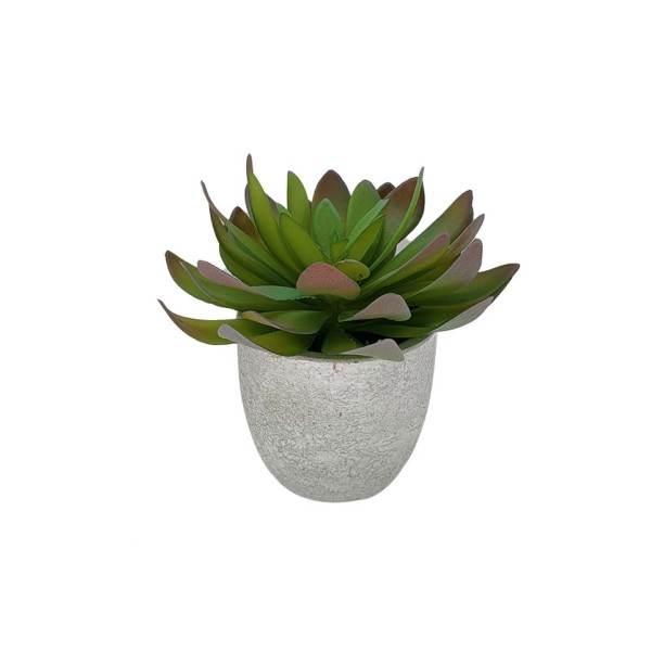 Succulent Cement Pot 13x13