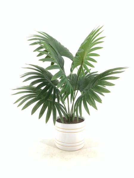 LAUREN TAYLOR - Palm in Ceramic Pot