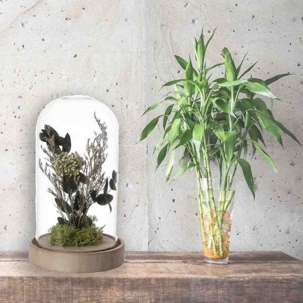 Lauren Taylor - Dried Flowers In Cloche