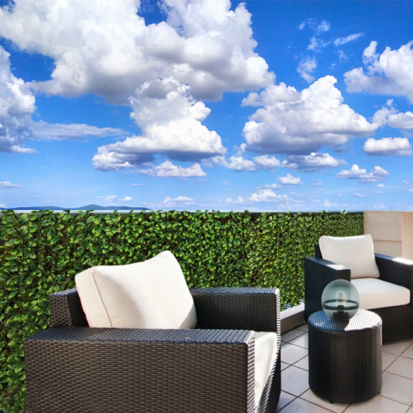 Expandable Privacy Trellis 36 x 72