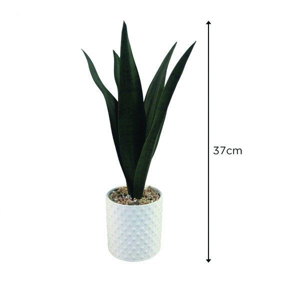 Snake Plant Ceramic Pot 11x37