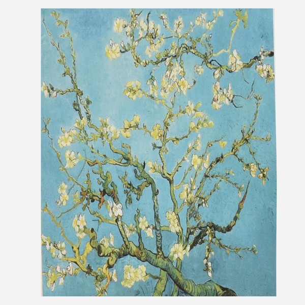 Van Gogh Fashion Scarves