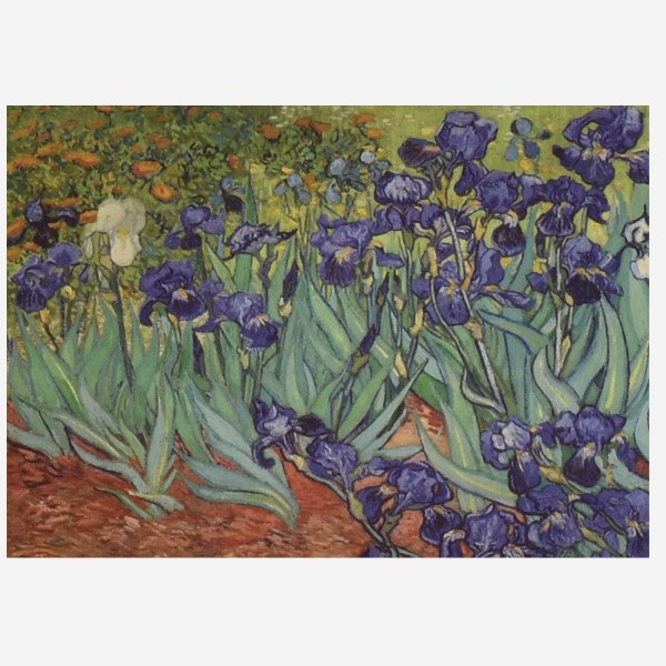 Van Gogh Fashion Scarves