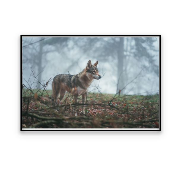 Toile Faune d'Automne 60x80