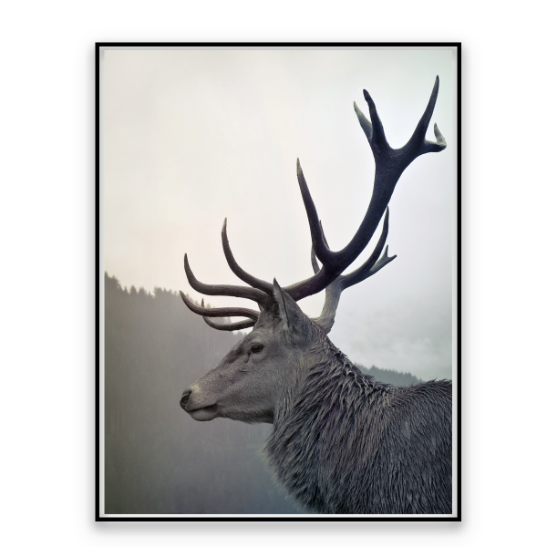 Toile Faune d'Automne 60x80