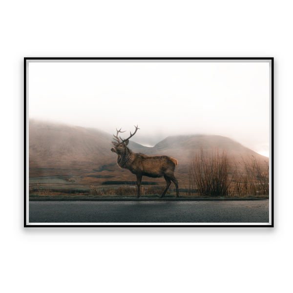 Toile Faune d'Automne 60x80