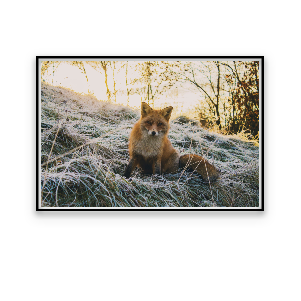 Toile Faune d'Automne 60x80