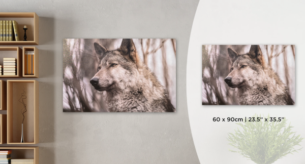 Toile de loup