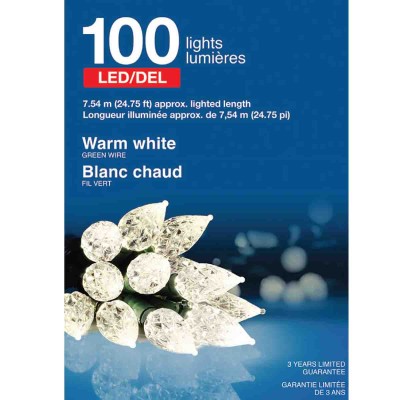   100 lampes LED en forme de goutte d'eau pour l'intérieur et l'extérieur