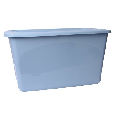 Boîte de rangement en plastique (ramassage en magasin seulement)