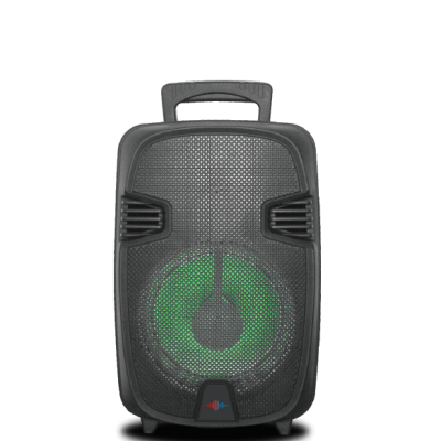 Haut-parleur Bluetooth 8" rechargeable avec écran à leds et lumière à leds sur le woofer - Wattson