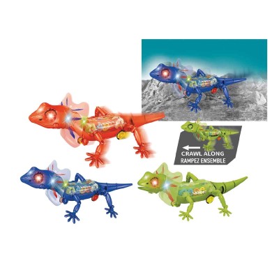 B/o Lézard