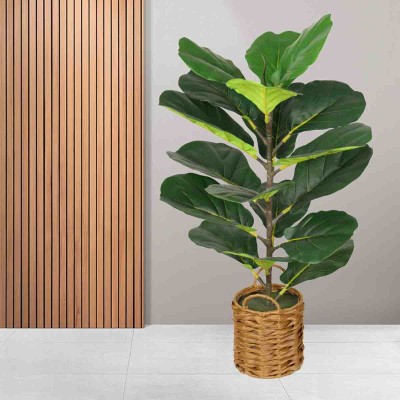 Lauren Taylor - Fiddle Tree 18 Leaves Plastic Weave Pot