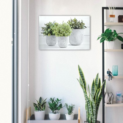 Canvas Greens In Pot 60x90in