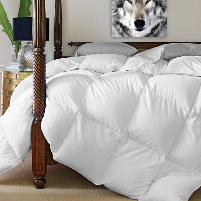 Adrien Lewis - Couette Oasis en duvet et plumes