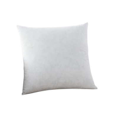 Insert de coussin en plumes de canard blanc