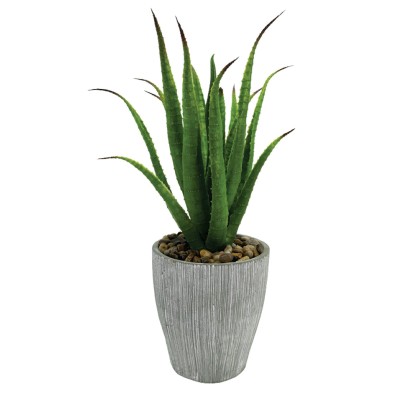 ​Plantes succulentes artificielles en pot - 14po