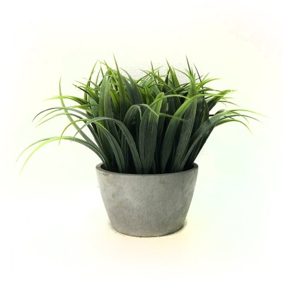 Herbe en pot