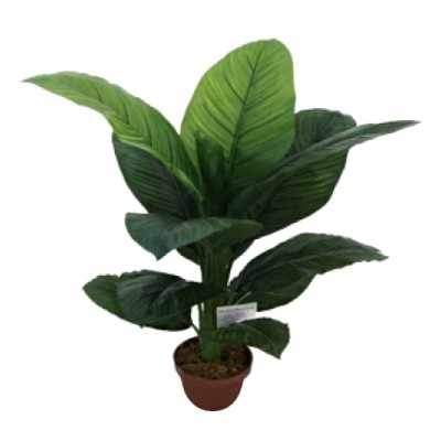 Plante artificielle Dieffenbachia - 100cm