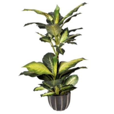 Plante artificielle Dieffenbachia - 90cm