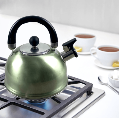 Stainless Steel Green Kettle - 2.5L