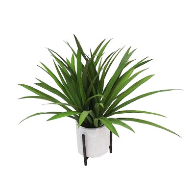 Grass Plant in Ceramic Pot with Metal Stand White