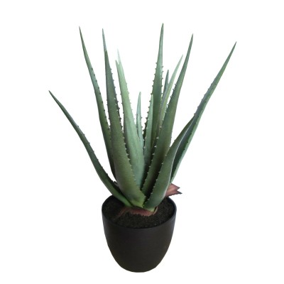 Plante artificielle d'aloès