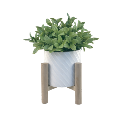 Grass Ceramic Pot In Wood Stand 12x29