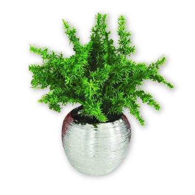 Plante artificielle dans un pot chromé en céramique