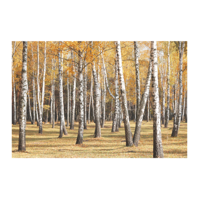 Fall Scenic Printed Canvas
