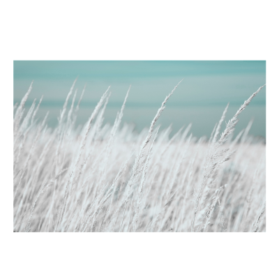Toile de plage