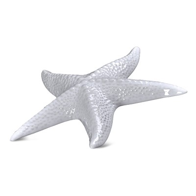 Nautical Starfish