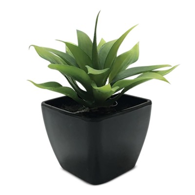 Pot de succulent en mélamine | Noir