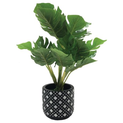 Pot de succulent en ciment | Noir